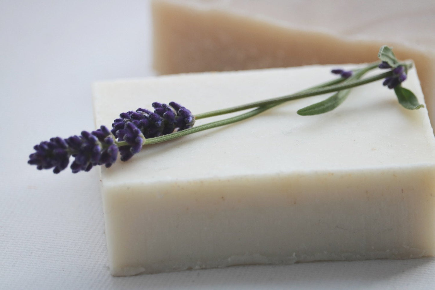 Bar of soap with lavender flowers on a white background